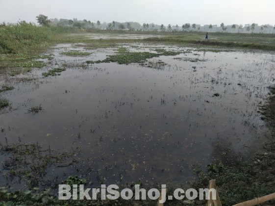 মৎস্য পুকুর ভাড়া দেয়া হবে